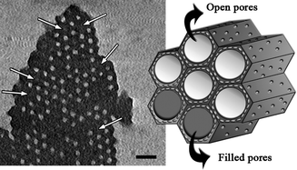 Graphical abstract: Isomeric periodic mesoporous organosilicas with controllable properties