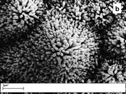 Graphical abstract: Controlled large-scale fabrication of sea sponge-like ZnO nanoarchitectures on textured silicon