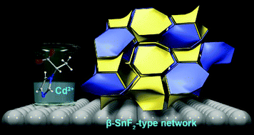 Graphical abstract: Metal–organic replica of chiral natural material β-SnF2: an enantiopure binodal (3,5)-connected net based on triangular and trigonal bipyramidal coordination