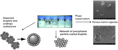 Graphical abstract: Hybrid lipid–silica microcapsules engineered by phase coacervation of Pickering emulsions to enhance lipid hydrolysis