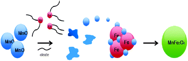 Graphical abstract: Fabrication of Mn-ferrite nanoparticles from MnO colloids