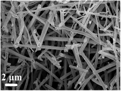 Graphical abstract: Facile synthesis of nickel oxide nanotubes and their antibacterial, electrochemical and magnetic properties