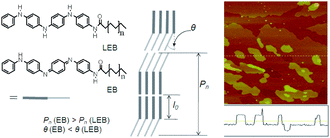Graphical abstract: Self-assembly of rod-coils consisting of tetraaniline and alkyl chains in different oxidation states