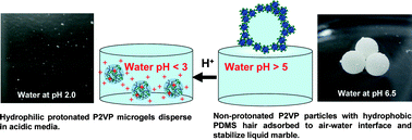 Graphical abstract: pH-responsive liquid marbles stabilized with poly(2-vinylpyridine) particles