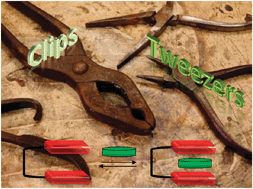 Graphical abstract: Molecular clips and tweezers hosting neutral guests