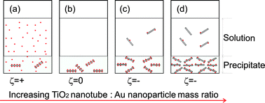 Graphical abstract: Electrostatic interactions for directed assembly of nanostructured materials: composites of titanium dioxide nanotubes with gold nanoparticles