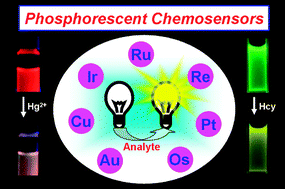 Graphical abstract: Phosphorescent chemosensors based on heavy-metal complexes