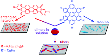 Graphical abstract: Phase separation and affinity between a fluorinated perylene diimide dye and an alkyl-substituted hexa-peri-hexabenzocoronene