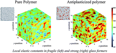 Graphical abstract: Antiplasticization and the elastic properties of glass-forming polymer liquids