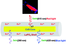 Graphical abstract: Fabrication and optical properties of core/shell CdS/LaPO4:Eu nanorods