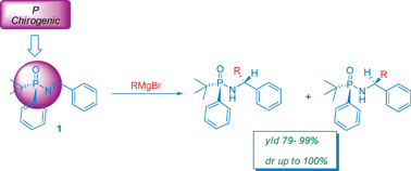 Graphical abstract: Stereoselective addition of Grignard reagents to new P-chirogenic N-phosphinoylimines