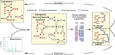 Graphical abstract: An integrative approach towards completing genome-scale metabolic networks