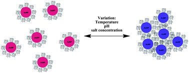 Graphical abstract: Thermoresponsive gold nanoparticles with adjustable lower critical solution temperature as colorimetric sensors for temperature, pH and salt concentration