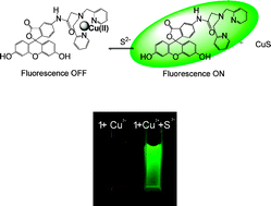 Graphical abstract: Sulfide-selective chemosignaling by a Cu2+ complex of dipicolylamine appended fluorescein