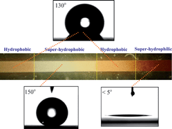 Graphical abstract: “Smart” polymeric microfluidics fabricated by plasma processing: controlled wetting, capillary filling and hydrophobic valving