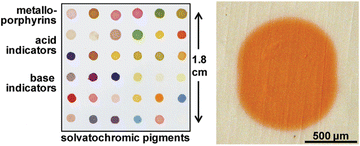 Graphical abstract: A colorimetric sensor array of porous pigments