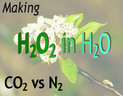 Graphical abstract: Direct synthesis of hydrogen peroxide in methanol and water using scCO2 and N2 as diluents