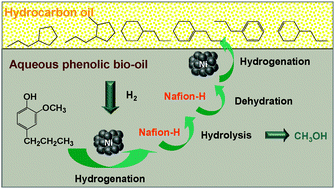 Graphical abstract: Hydrodeoxygenation of bio-derived phenols to hydrocarbons using RANEY® Ni and Nafion/SiO2 catalysts