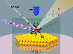 Graphical abstract: Deposition of intact tetrairon(iii) single molecule magnet monolayers on gold: an STM, XPS, and ToF-SIMS investigation