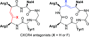 Graphical abstract: Synthesis and biological evaluation of selective CXCR4 antagonists containing alkene dipeptide isosteres