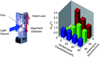 Graphical abstract: Effect of concentration of photoactive chromophores on photomechanical properties of crosslinked azobenzene liquid-crystalline polymers
