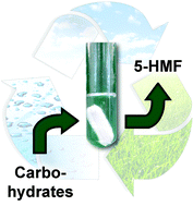 Graphical abstract: Conversion of carbohydrates into 5-hydroxymethylfurfural in highly concentrated low melting mixtures