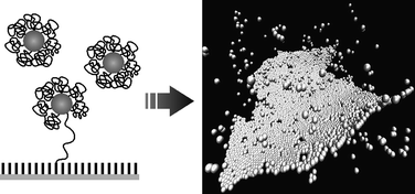 Graphical abstract: Flying colloidal carpets