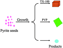 Graphical abstract: Controlled growth of pyrite FeS2 crystallites by a facile surfactant-assisted solvothermal method