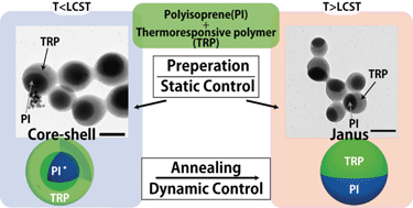 Graphical abstract: Static and dynamic control of phase separation structures in nanoparticles of polymer blends
