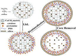 Graphical abstract: Constructing inorganic shell onto LBL microcapsule through biomimetic mineralization: A novel and facile method for fabrication of microbioreactors