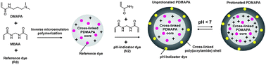 Graphical abstract: Fluorescent nanoparticles for ratiometric pH-monitoring in the neutral range