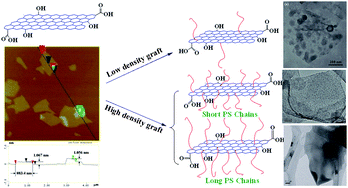 Graphical abstract: Single-layer graphene nanosheets with controlled grafting of polymer chains