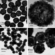 Graphical abstract: One-step synthesis of superparamagnetic monodisperse porous Fe3O4 hollow and core-shell spheres