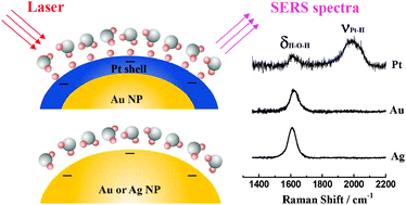 Graphical abstract: SERS and DFT study of water on metal cathodes of silver, gold and platinum nanoparticles