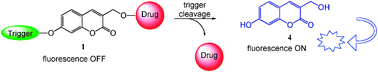 Graphical abstract: Real-time monitoring of drug release