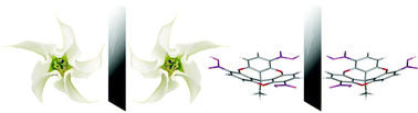 Graphical abstract: Inherently chiral concave molecules—from synthesis to applications