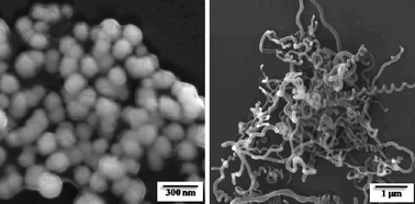 Graphical abstract: Metal salt induced synthesis of hybrid metal core–siloxane shell nanoparticles and siloxane nanowires