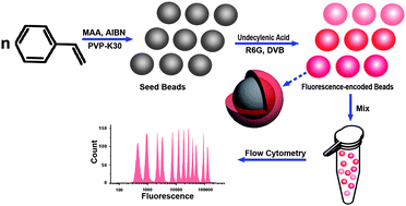 Graphical abstract: Preparation of fluorescence-encoded microspheres in a core–shell structure for suspension arrays