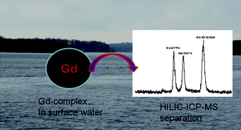 Graphical abstract: Speciation of gadolinium based MRI contrast agents in environmental water samples using hydrophilic interaction chromatography hyphenated with inductively coupled plasma mass spectrometry