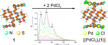 Graphical abstract: Combination of a CT modulated PET and an intramolecular excimer formation to quantify PdCl2 by large fluorescence enhancement