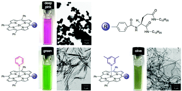 Graphical abstract: Versatile chiroptics of peptide-induced assemblies of metalloporphyrins