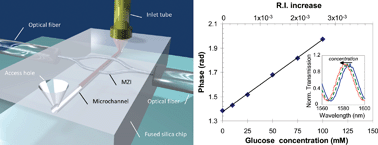 Graphical abstract: Three-dimensional Mach-Zehnder interferometer in a microfluidic chip for spatially-resolved label-free detection