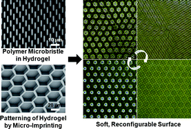 Graphical abstract: Microbristle in gels: Toward all-polymer reconfigurable hybrid surfaces