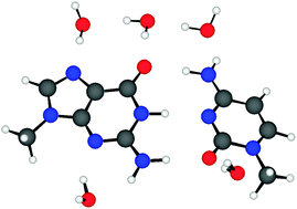 Graphical abstract: Microhydration of 9-methylguanine:1-methylcytosine base pair and its radical anion: a density functional theory study