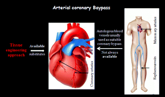 Graphical abstract: Multilayered polyelectrolyte films: a tool for arteries and vessel repair