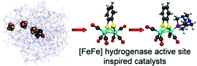 Graphical abstract: Electronic and geometric effects of phosphatriazaadamantane ligands on the catalytic activity of an [FeFe] hydrogenase inspired complex
