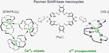 Graphical abstract: Constructing cerium supramolecular wheels and encapsulating uranium with a Schiff-base calixpyrrole ligand