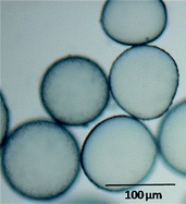 Graphical abstract: Preparation of particle-stabilized emulsions using membrane emulsification