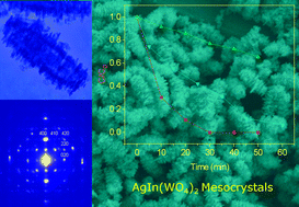 Graphical abstract: Microwave-assisted synthesis of silver indium tungsten oxide mesocrystals and their selective photocatalytic properties