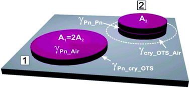 Graphical abstract: Energetics and stability of pentacene thin films on amorphous and crystalline octadecylsilane modified surfaces